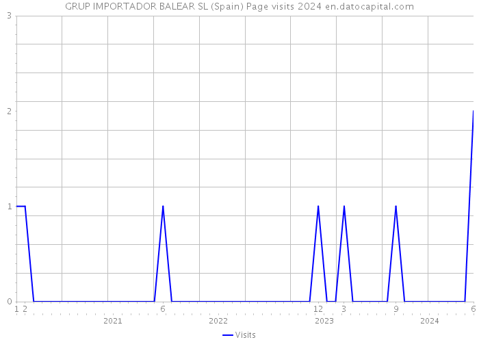 GRUP IMPORTADOR BALEAR SL (Spain) Page visits 2024 