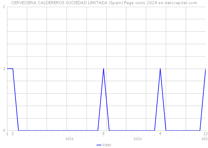 CERVECERIA CALDEREROS SOCIEDAD LIMITADA (Spain) Page visits 2024 