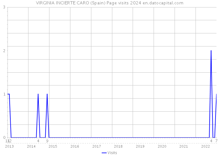 VIRGINIA INCIERTE CARO (Spain) Page visits 2024 