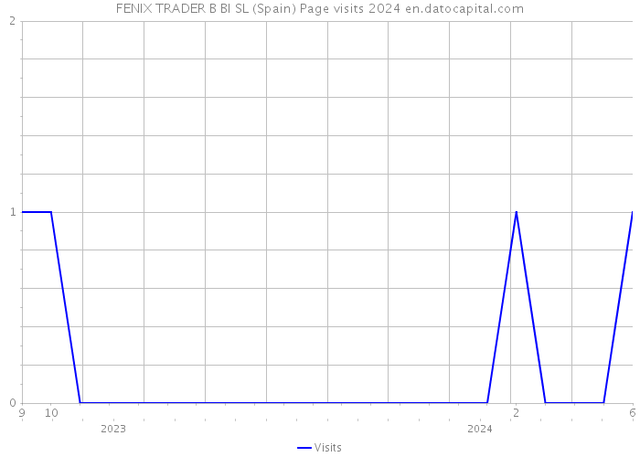 FENIX TRADER B BI SL (Spain) Page visits 2024 