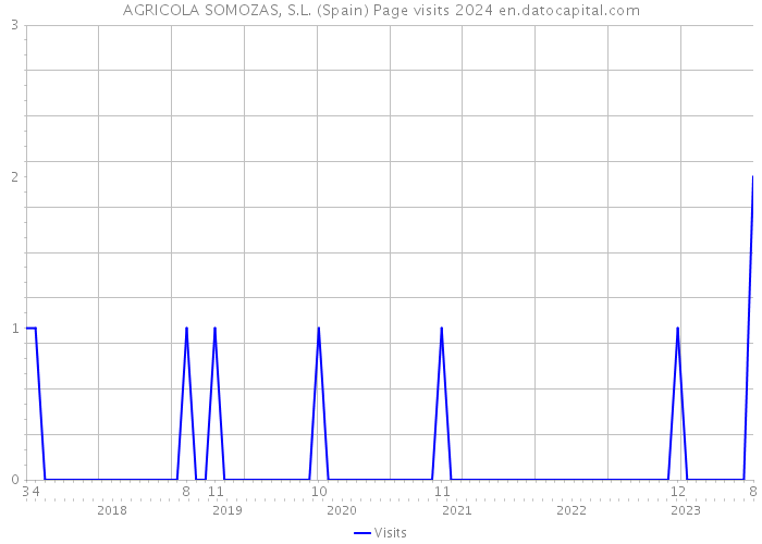 AGRICOLA SOMOZAS, S.L. (Spain) Page visits 2024 