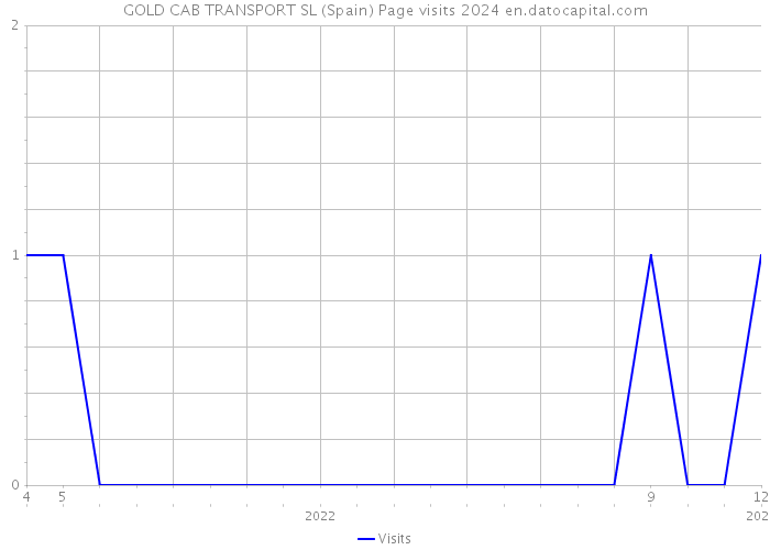 GOLD CAB TRANSPORT SL (Spain) Page visits 2024 
