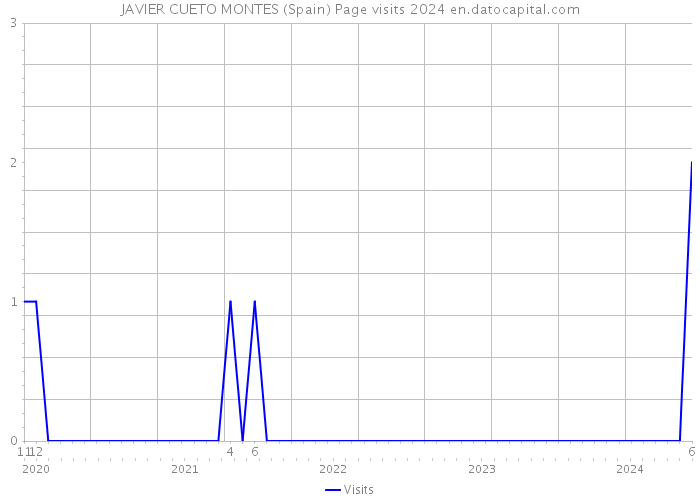 JAVIER CUETO MONTES (Spain) Page visits 2024 