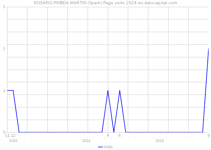 ROSARIO PINEDA MARTIN (Spain) Page visits 2024 