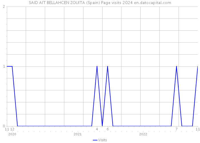 SAID AIT BELLAHCEN ZOUITA (Spain) Page visits 2024 