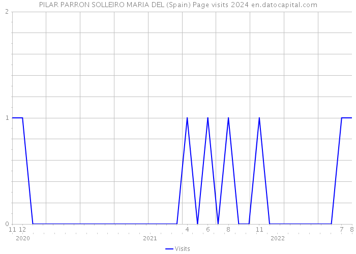 PILAR PARRON SOLLEIRO MARIA DEL (Spain) Page visits 2024 