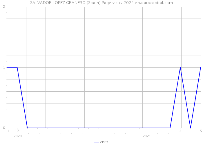 SALVADOR LOPEZ GRANERO (Spain) Page visits 2024 