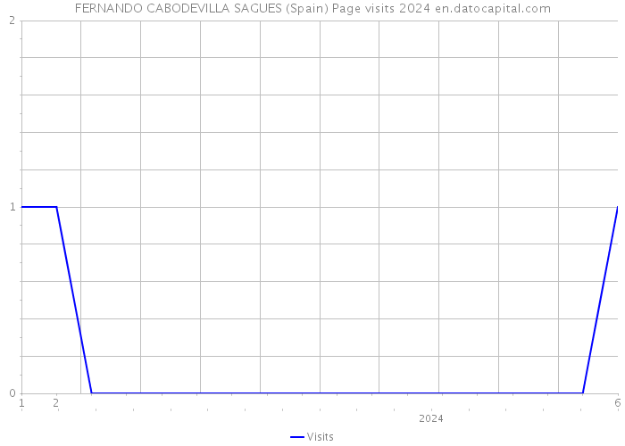 FERNANDO CABODEVILLA SAGUES (Spain) Page visits 2024 