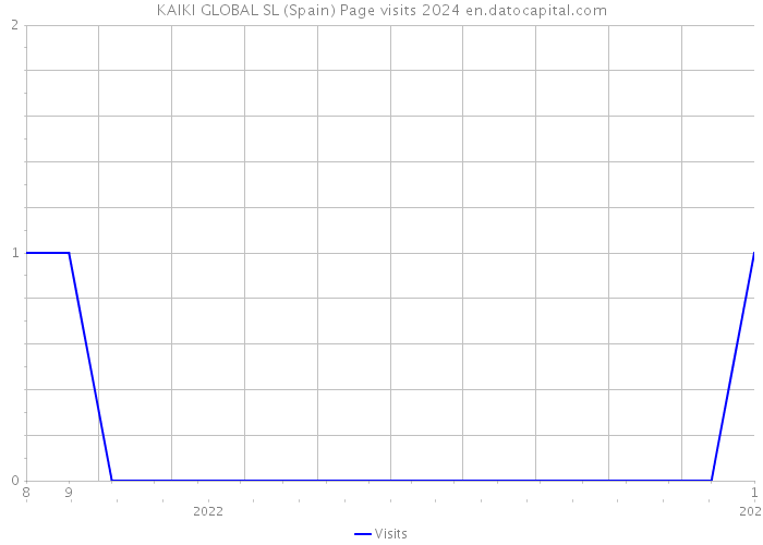 KAIKI GLOBAL SL (Spain) Page visits 2024 