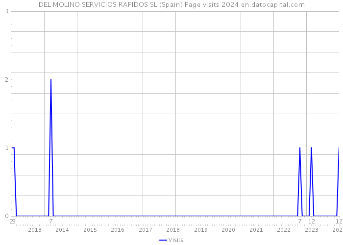 DEL MOLINO SERVICIOS RAPIDOS SL (Spain) Page visits 2024 
