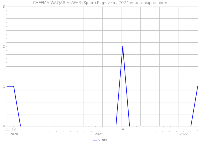 CHEEMA WAQAR ANWAR (Spain) Page visits 2024 