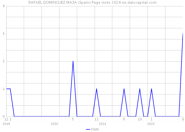 RAFAEL DOMINGUEZ MAZA (Spain) Page visits 2024 
