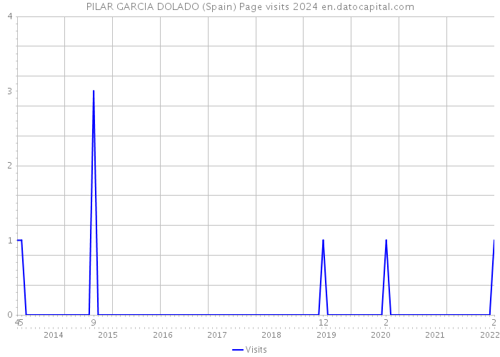 PILAR GARCIA DOLADO (Spain) Page visits 2024 