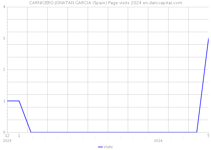CARNICERO JONATAN GARCIA (Spain) Page visits 2024 