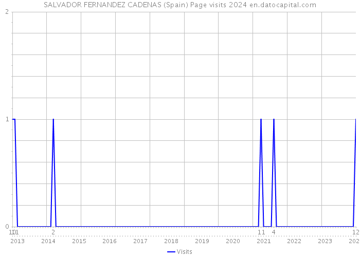 SALVADOR FERNANDEZ CADENAS (Spain) Page visits 2024 