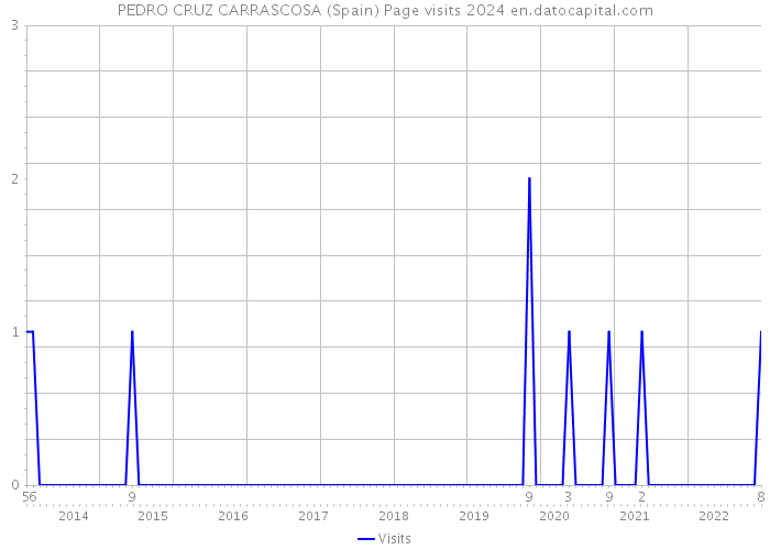 PEDRO CRUZ CARRASCOSA (Spain) Page visits 2024 