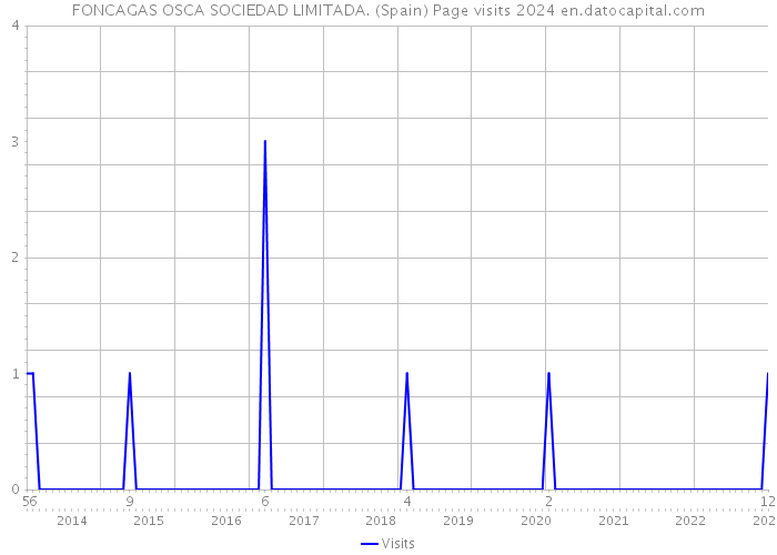FONCAGAS OSCA SOCIEDAD LIMITADA. (Spain) Page visits 2024 