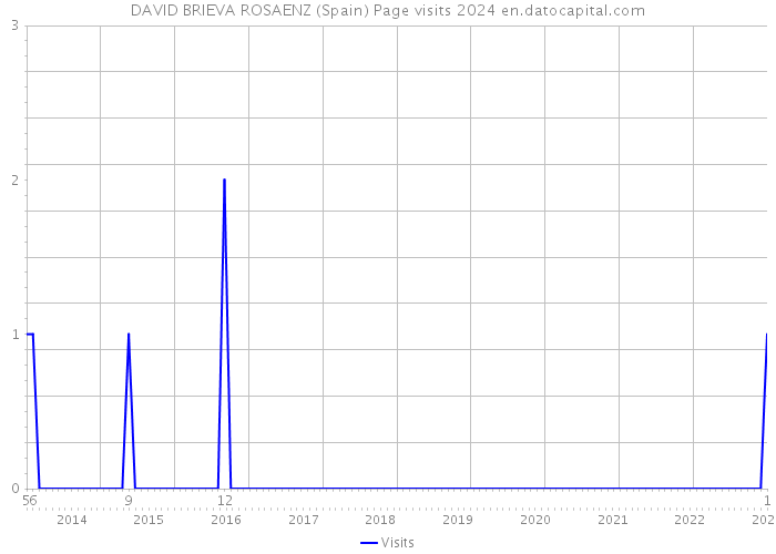 DAVID BRIEVA ROSAENZ (Spain) Page visits 2024 