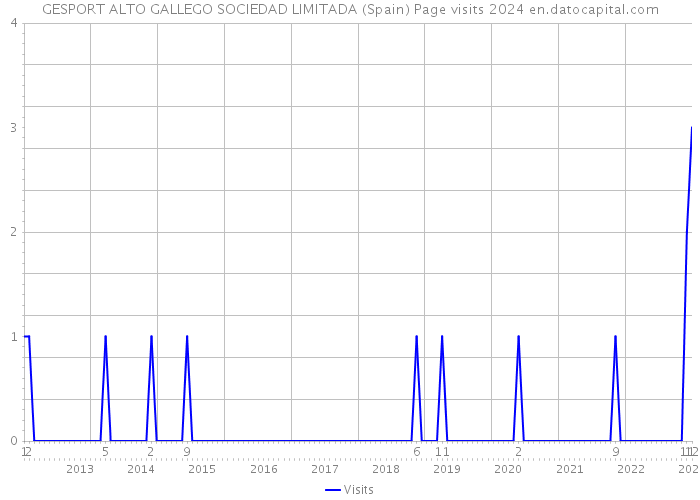 GESPORT ALTO GALLEGO SOCIEDAD LIMITADA (Spain) Page visits 2024 