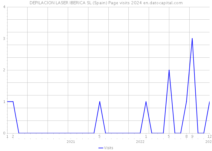 DEPILACION LASER IBERICA SL (Spain) Page visits 2024 