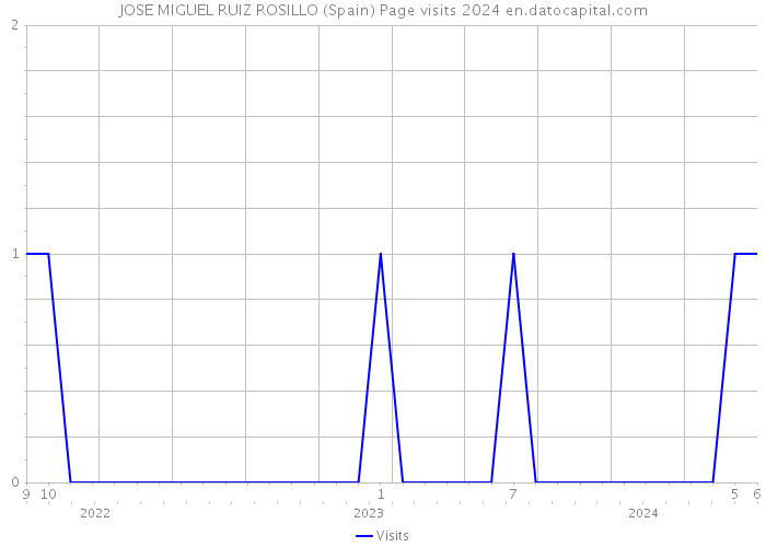 JOSE MIGUEL RUIZ ROSILLO (Spain) Page visits 2024 