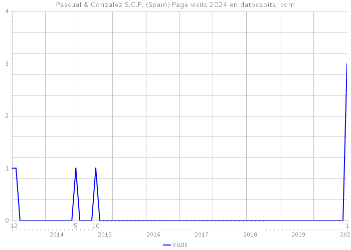 Pascual & Gonzalez S.C.P. (Spain) Page visits 2024 