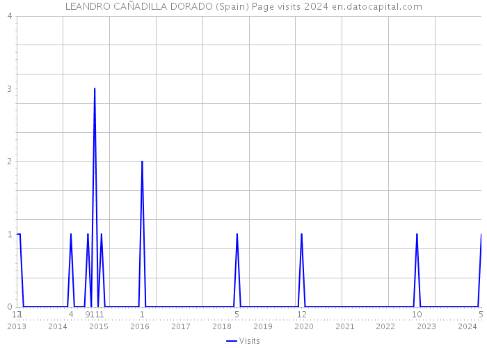 LEANDRO CAÑADILLA DORADO (Spain) Page visits 2024 