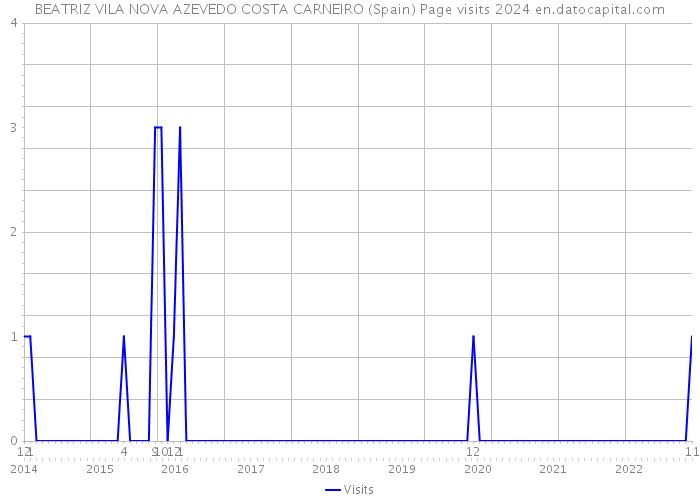 BEATRIZ VILA NOVA AZEVEDO COSTA CARNEIRO (Spain) Page visits 2024 