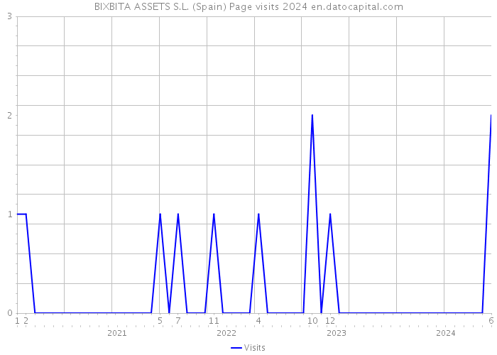 BIXBITA ASSETS S.L. (Spain) Page visits 2024 