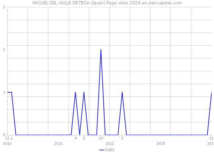 MIGUEL DEL VALLE ORTEGA (Spain) Page visits 2024 