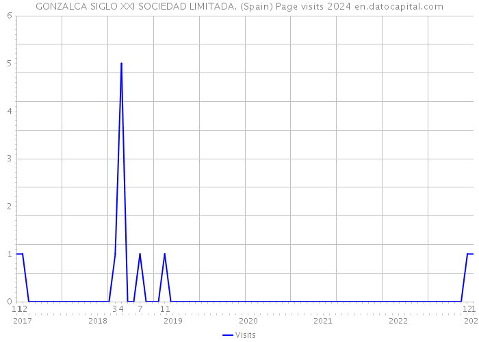 GONZALCA SIGLO XXI SOCIEDAD LIMITADA. (Spain) Page visits 2024 