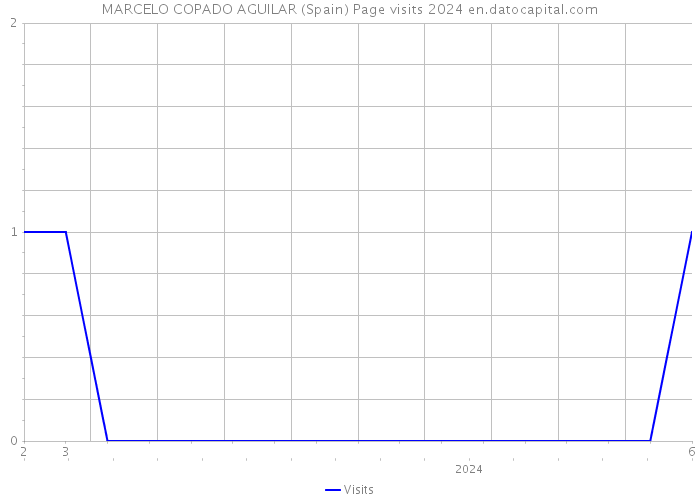 MARCELO COPADO AGUILAR (Spain) Page visits 2024 