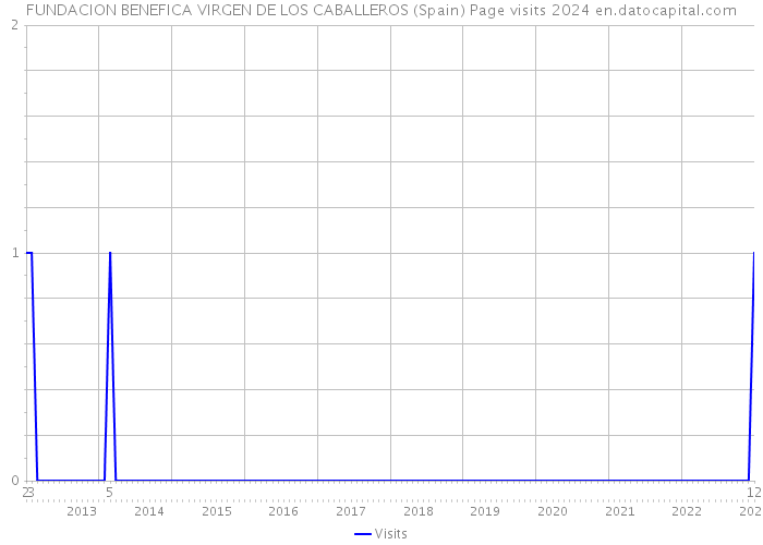 FUNDACION BENEFICA VIRGEN DE LOS CABALLEROS (Spain) Page visits 2024 