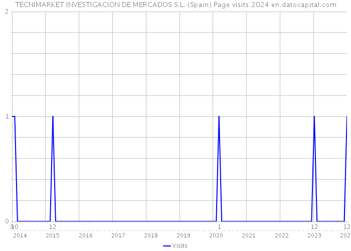 TECNIMARKET INVESTIGACION DE MERCADOS S.L. (Spain) Page visits 2024 