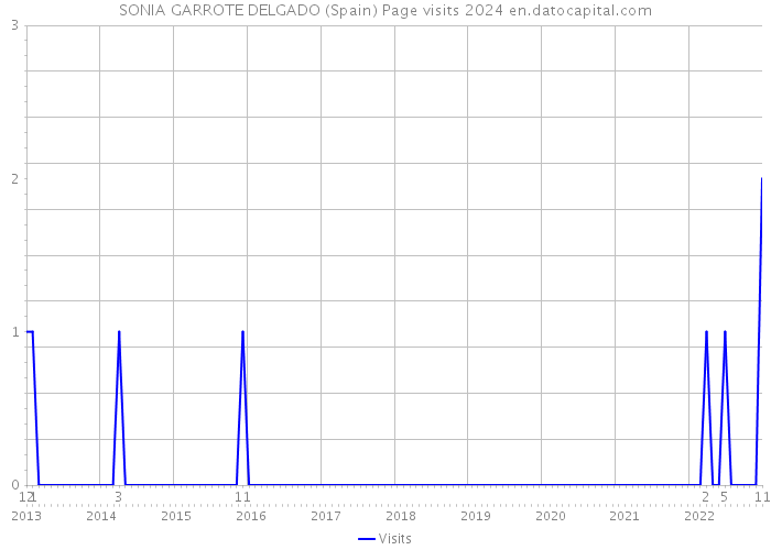 SONIA GARROTE DELGADO (Spain) Page visits 2024 