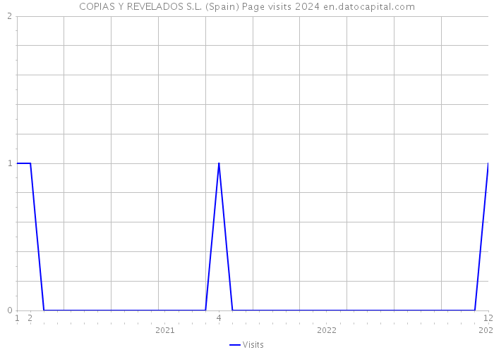 COPIAS Y REVELADOS S.L. (Spain) Page visits 2024 