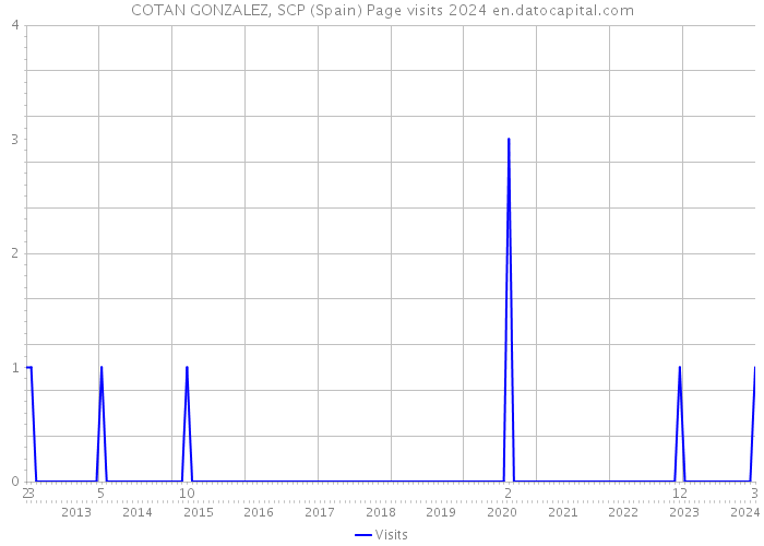 COTAN GONZALEZ, SCP (Spain) Page visits 2024 