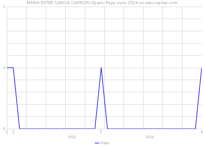 MARIA ESTER GARCIA CARRION (Spain) Page visits 2024 