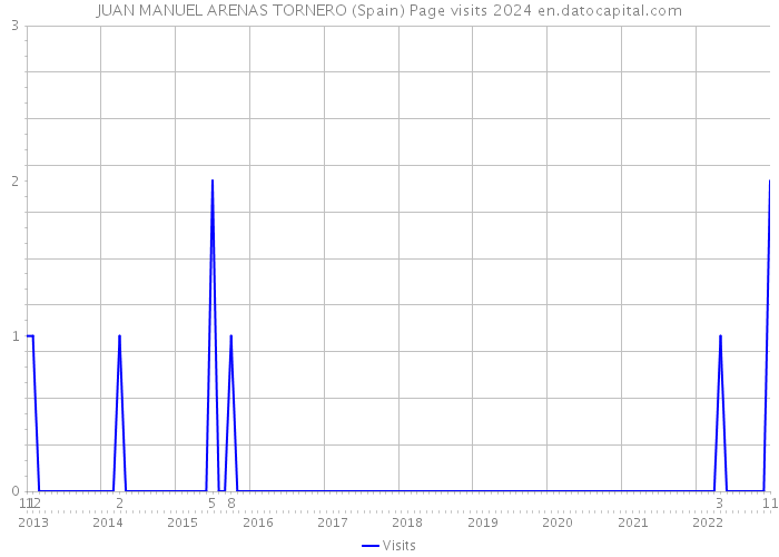 JUAN MANUEL ARENAS TORNERO (Spain) Page visits 2024 