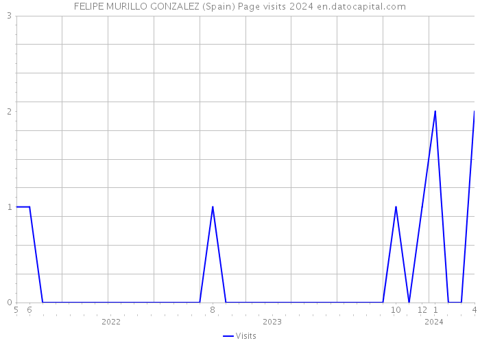 FELIPE MURILLO GONZALEZ (Spain) Page visits 2024 
