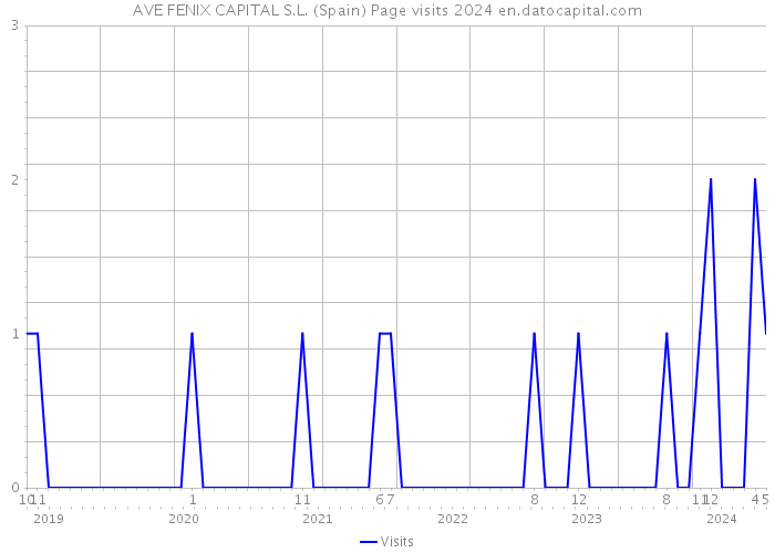 AVE FENIX CAPITAL S.L. (Spain) Page visits 2024 