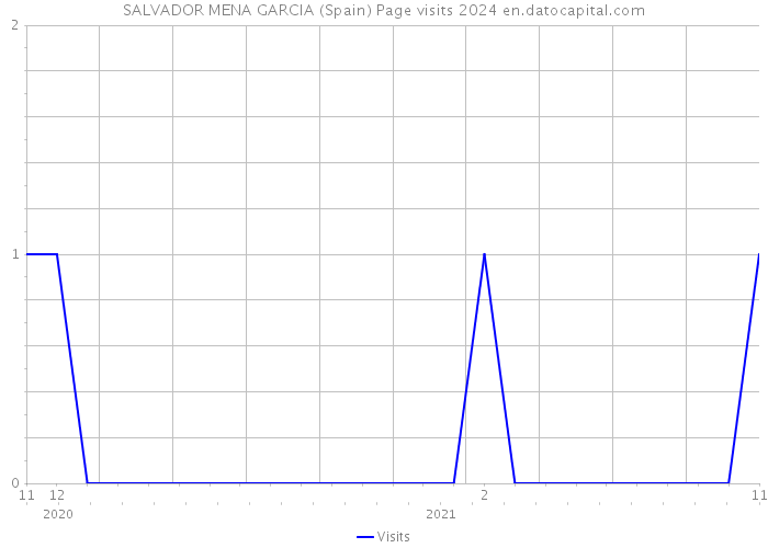 SALVADOR MENA GARCIA (Spain) Page visits 2024 