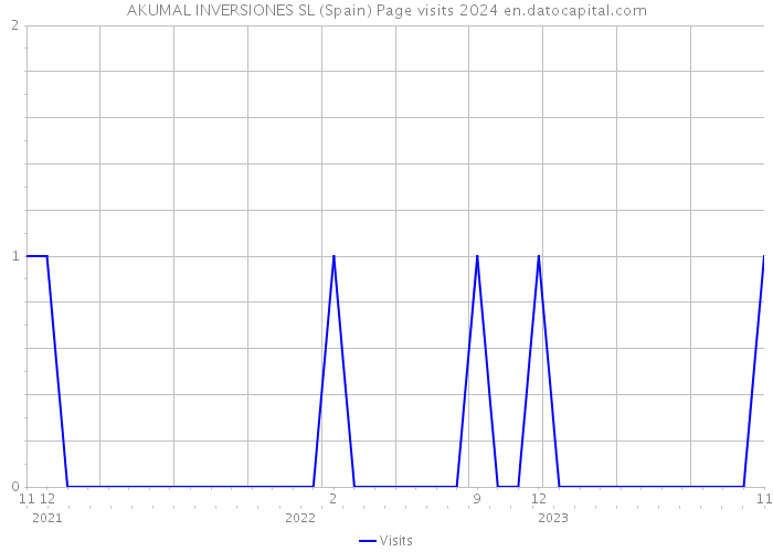 AKUMAL INVERSIONES SL (Spain) Page visits 2024 