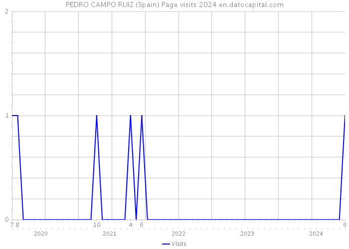 PEDRO CAMPO RUIZ (Spain) Page visits 2024 