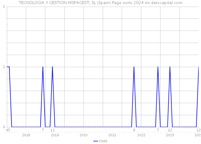 TECNOLOGIA Y GESTION HISPAGEST, SL (Spain) Page visits 2024 