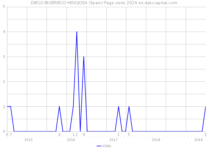 DIEGO BIGERIEGO HINOJOSA (Spain) Page visits 2024 