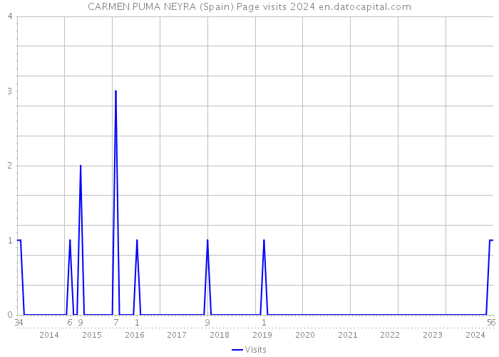 CARMEN PUMA NEYRA (Spain) Page visits 2024 