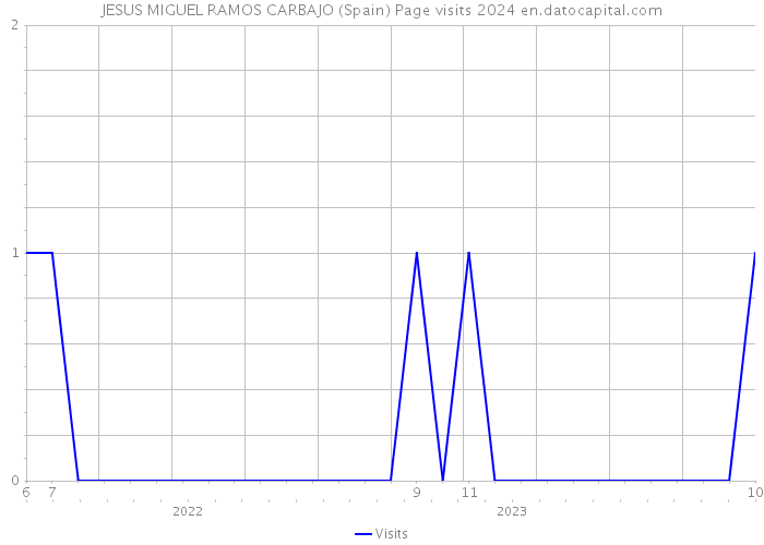 JESUS MIGUEL RAMOS CARBAJO (Spain) Page visits 2024 