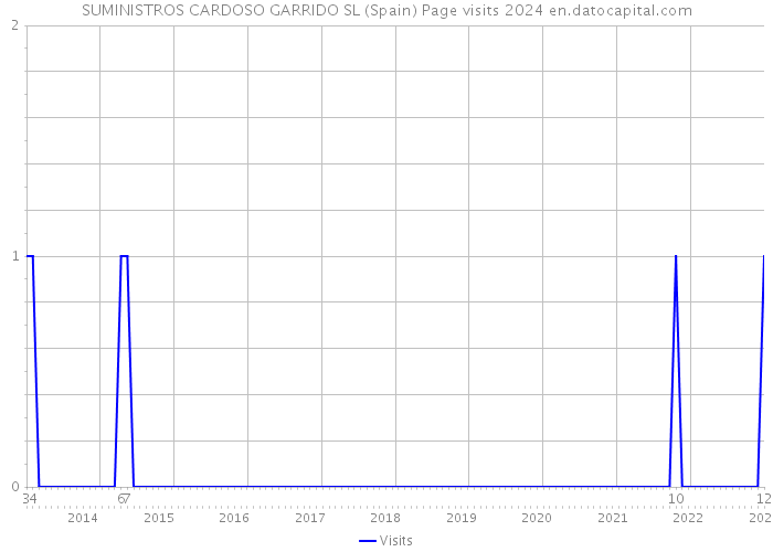 SUMINISTROS CARDOSO GARRIDO SL (Spain) Page visits 2024 
