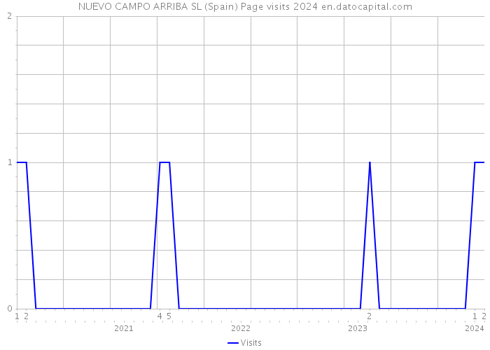 NUEVO CAMPO ARRIBA SL (Spain) Page visits 2024 